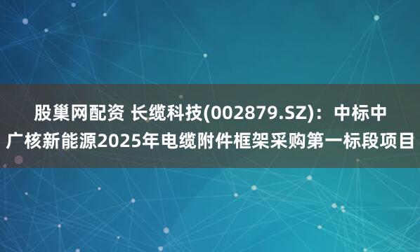 股巢网配资 长缆科技(002879.SZ)：中标中广核新能源2025年电缆附件框架采购第一标段项目
