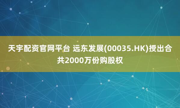 天宇配资官网平台 远东发展(00035.HK)授出合共2000万份购股权