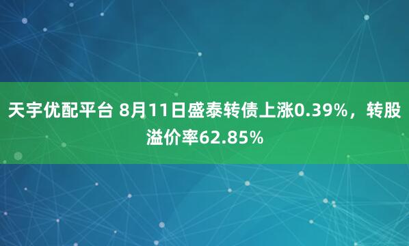 天宇优配平台 8月11日盛泰转债上涨0.39%,转股溢价率62.85%